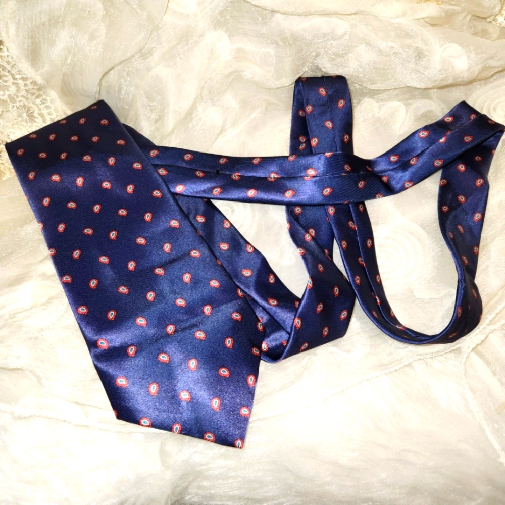 ⭐️ Etienne Aigner tie